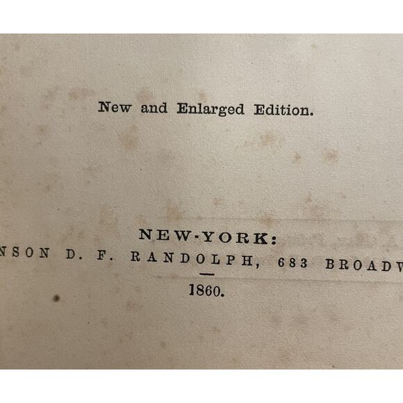 Vintage!! Leaf and Flower Pictures and How to Make Them from 1860 - Picture 5 of 8